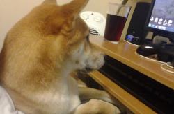 开云体育登录-卡马文加闪电破门定乾坤，澳大利亚对阵哥伦比亚提前失去悬念