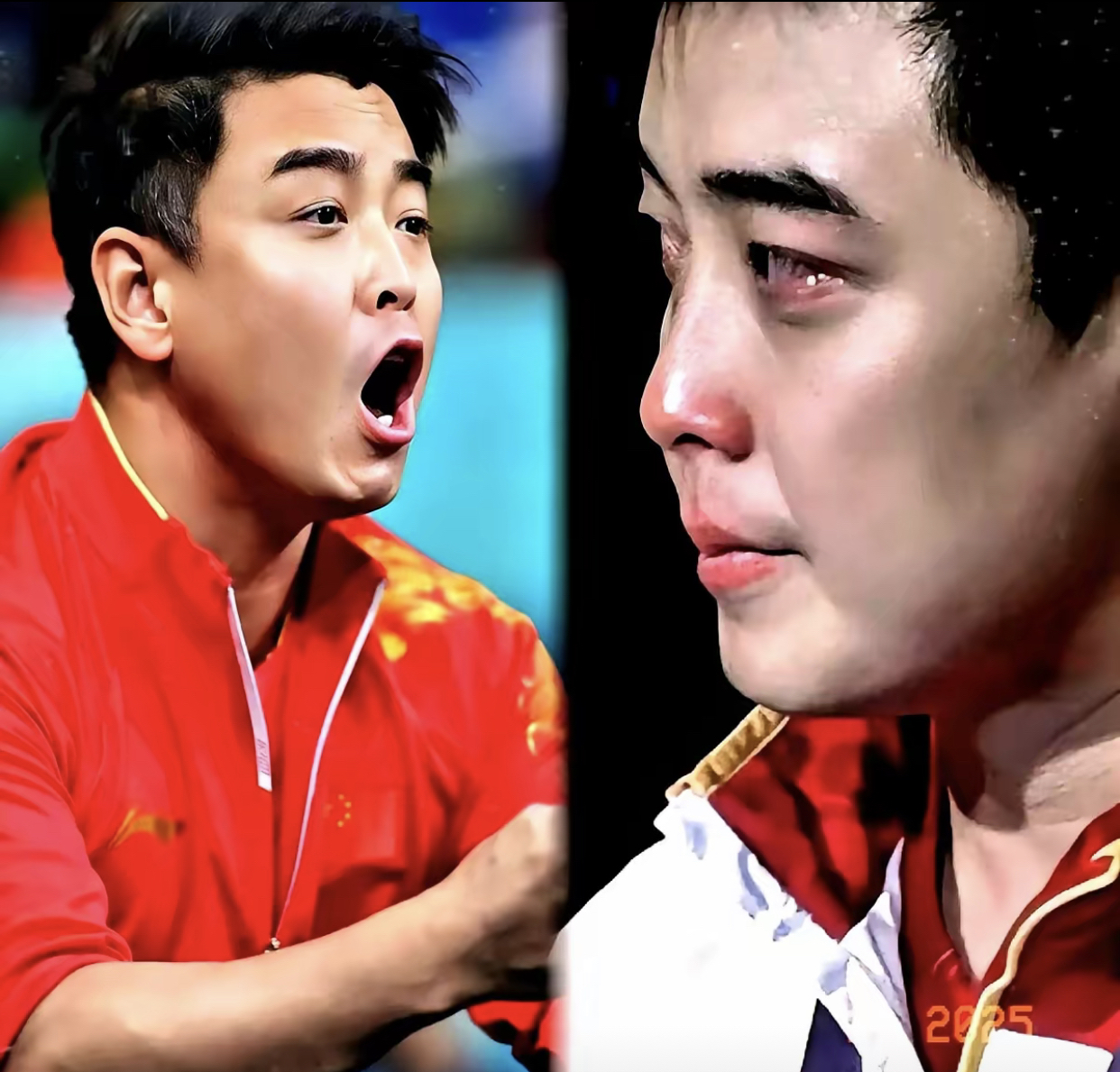 日本乒乓球队绝杀比利时乒乓球队，王皓打破历史纪录的简单介绍