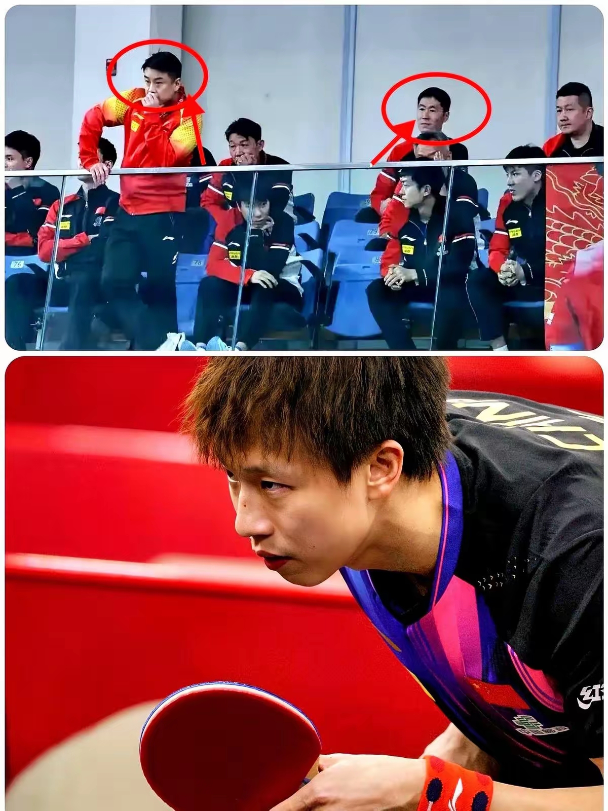 韩国乒乓球队血洗比利时乒乓球队，王皓制霸全场的简单介绍