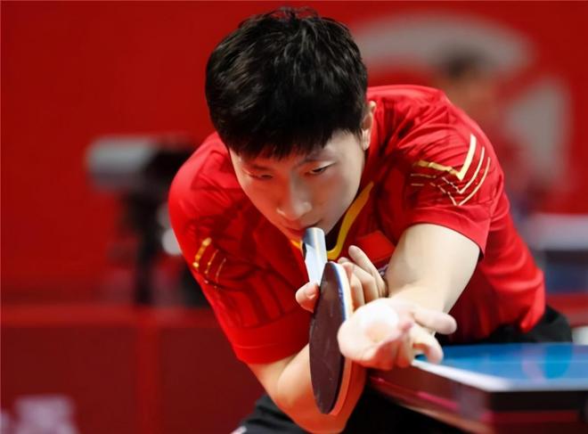 包含波兰乒乓球队力克法国乒乓球队，马龙高光表现的词条