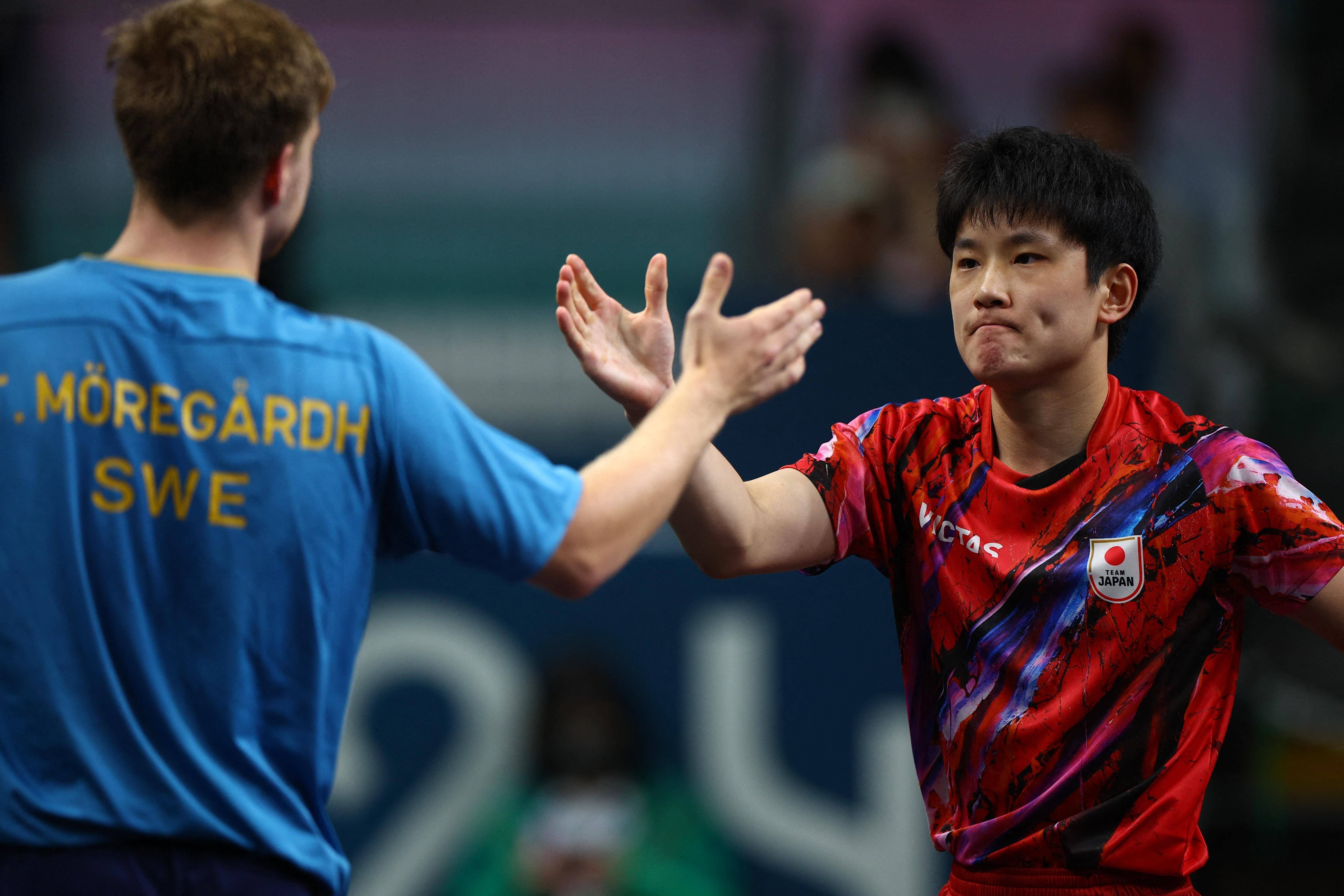 关于中国乒乓球队险胜奥地利乒乓球队，张本智和统治全场的信息