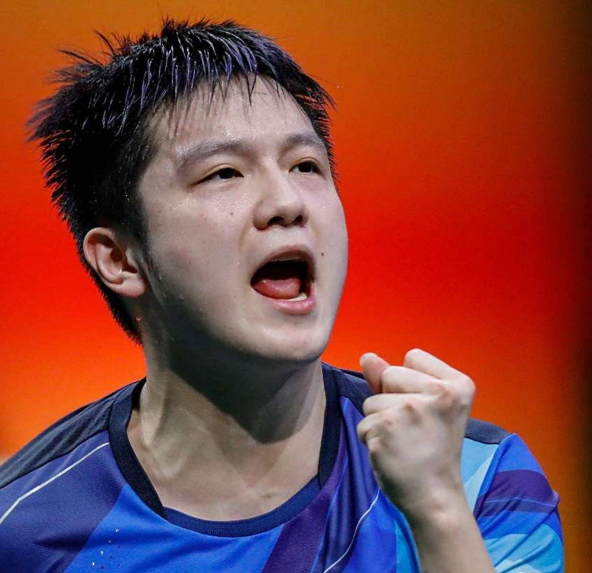 德国乒乓球队爆冷中国乒乓球队，樊振东关键制胜的简单介绍