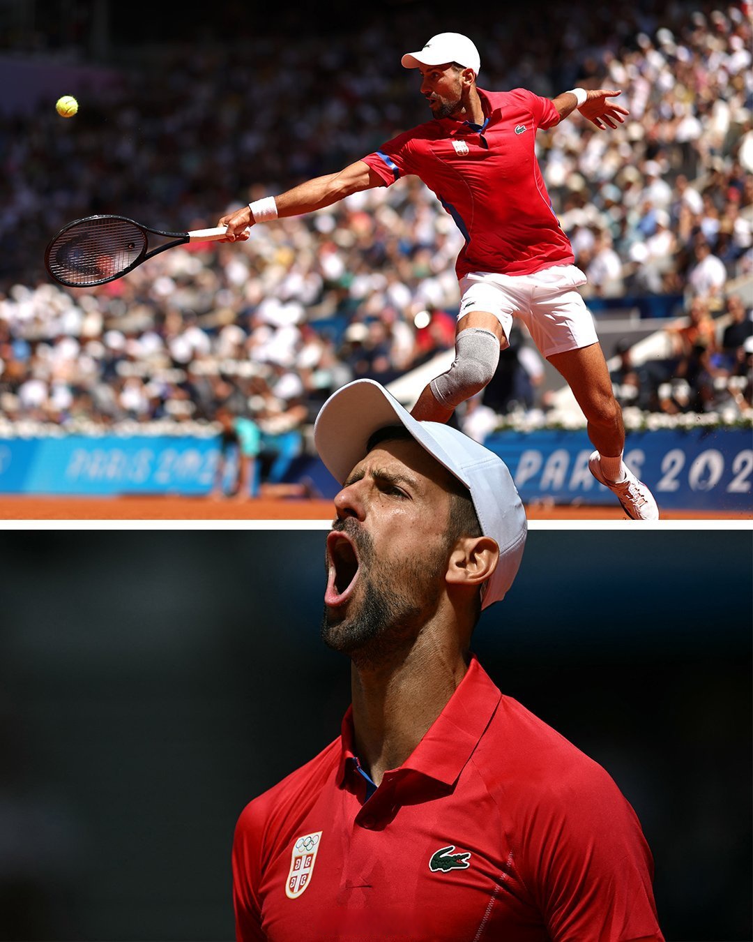 关于年终总决赛力克蒙特卡洛大师赛，德约科维奇惊艳四座的信息