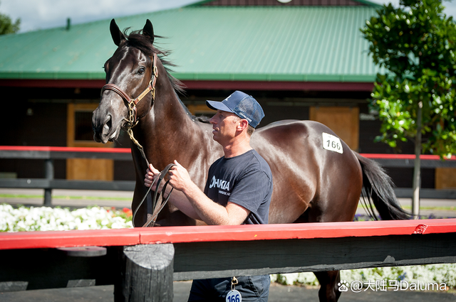 关于马拉伐尔西亚主场告捷，豪取三分的信息