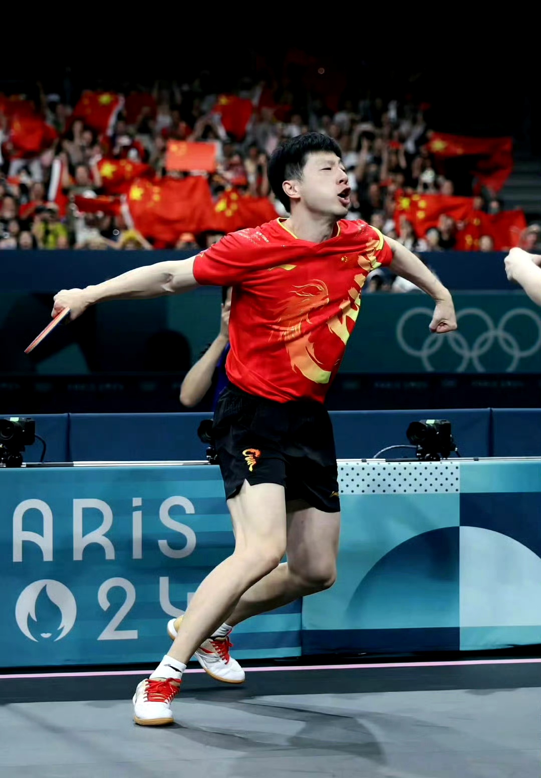 关于波兰乒乓球队完胜法国乒乓球队，马龙爆发神勇的信息