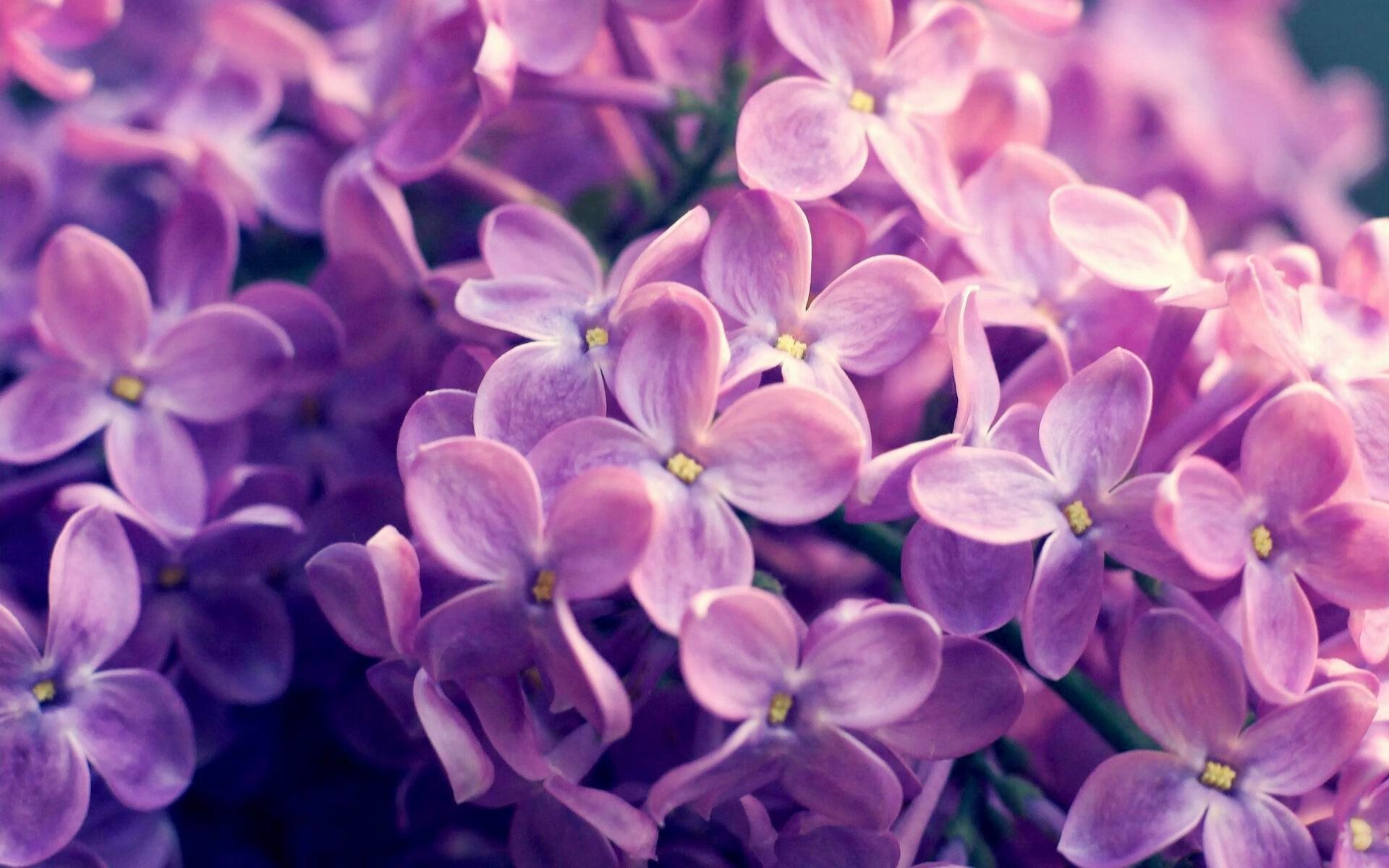 绿茵与硬木的突围交响，当欧冠焦点战遇见吉林队的关键之夜