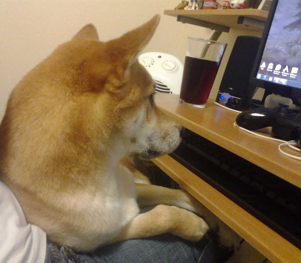 卡马文加闪电破门定乾坤，澳大利亚对阵哥伦比亚提前失去悬念