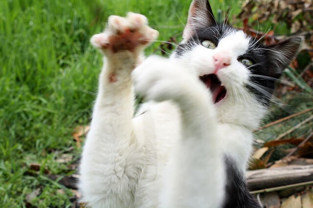 从阿劳霍的锁链到日本的铁壁，现代足球防守艺术的两种极致演绎