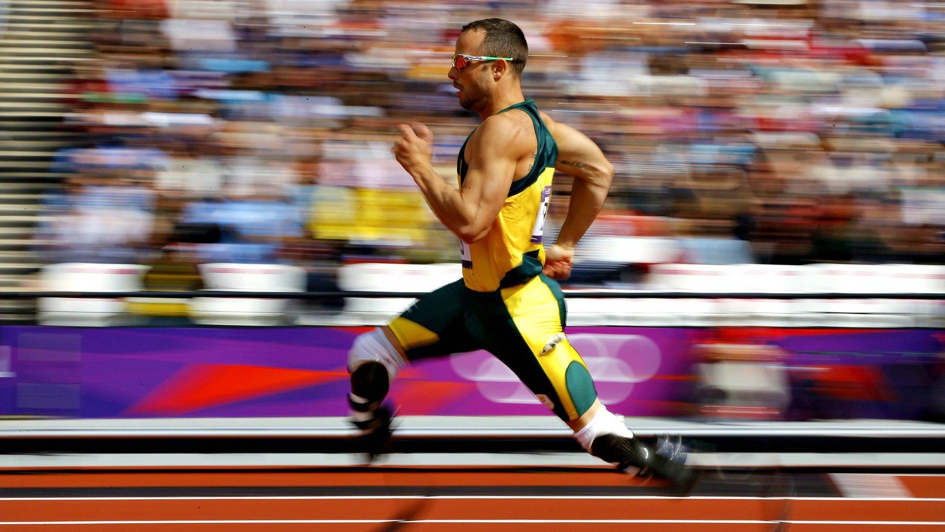 当F1争冠夜遇见约基奇，两个赛场，一种孤胆英雄的叙事